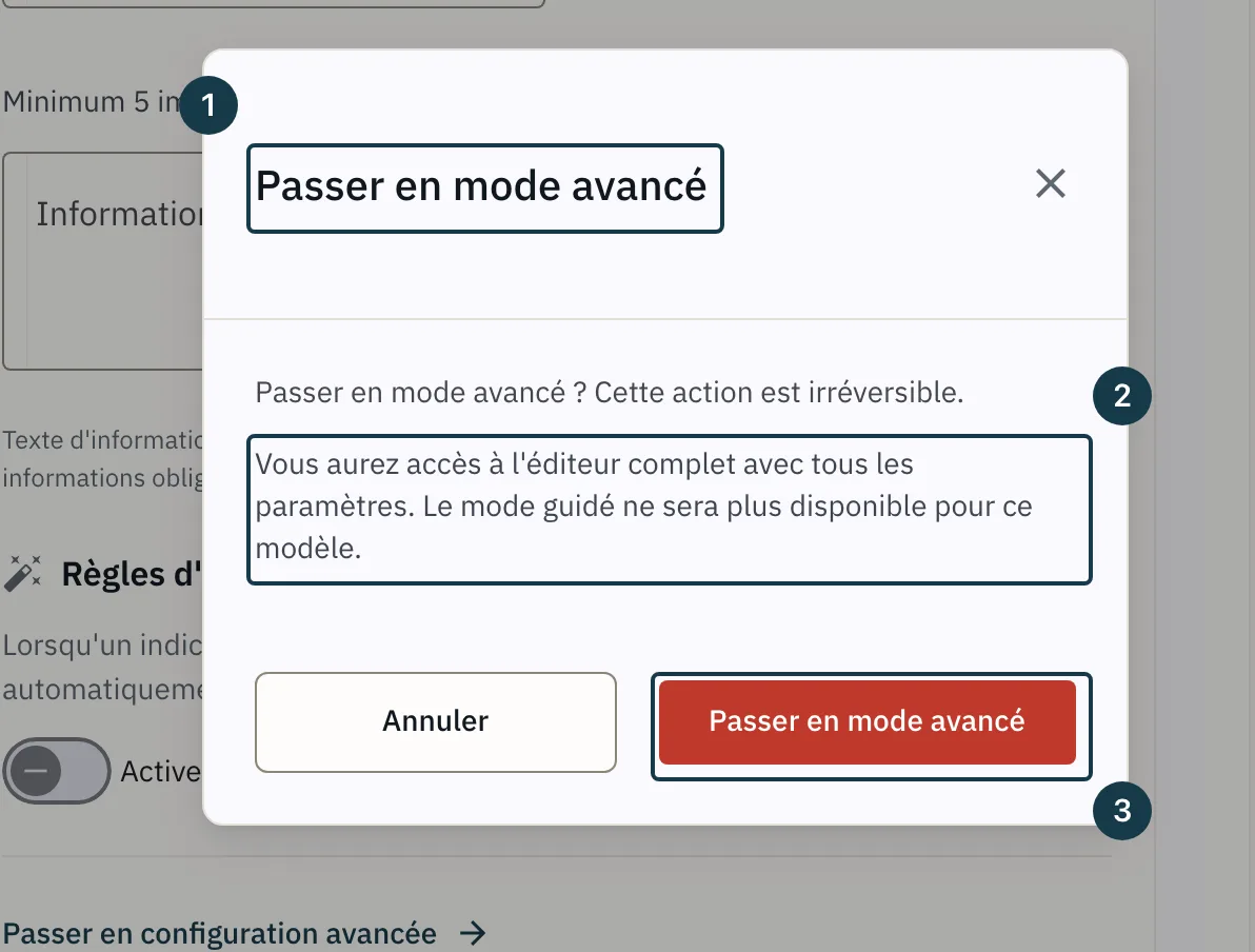 Écran d'un modèle de campagne&nbsp;: la fenêtre de passage en mode avancé